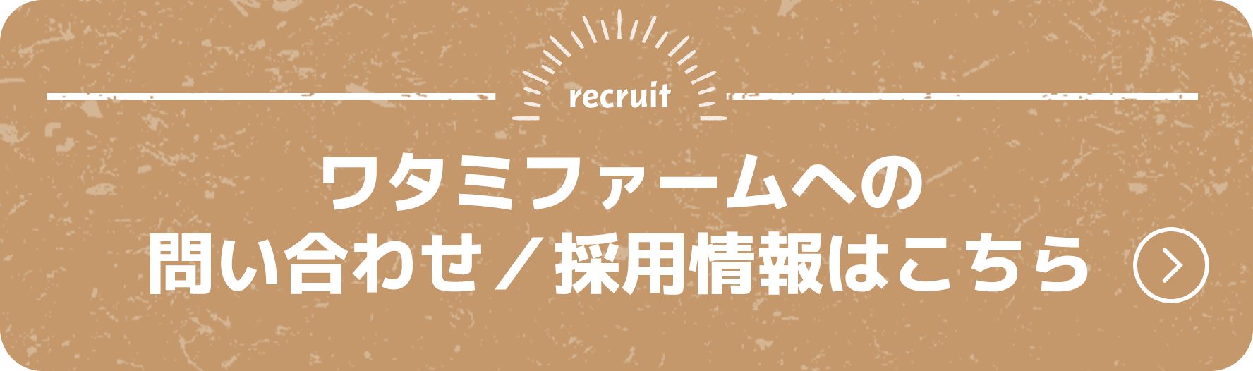 問い合わせ・採用情報